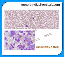MAY-GRUNWALD STAIN
