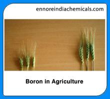 Boron